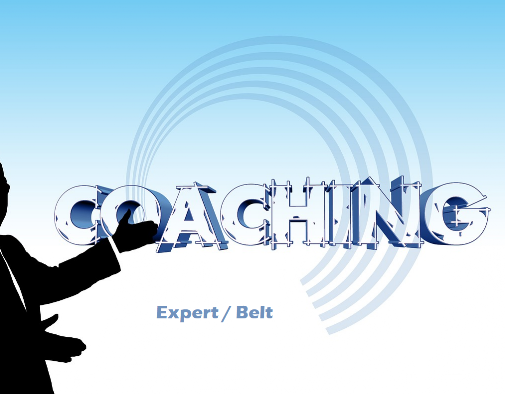 Coaching Expert Coaching bei der Projektarbeit für die Six Sigma Projektleiter und Mitarbeiter