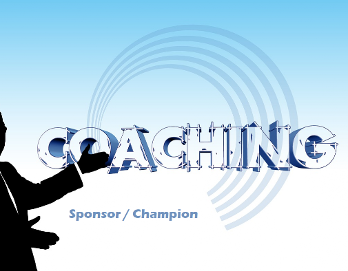Coaching Sponsor Unterstützung für den Sponsor und Champion