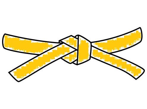 Yellow Belt Know-How für die Projektmitarbeiter