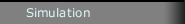 Simulation